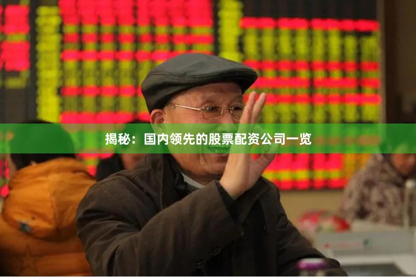 揭秘：国内领先的股票配资公司一览